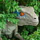 Clever girl...